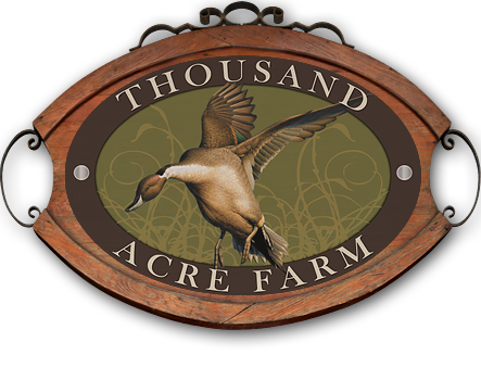 Thousand Acre Farm